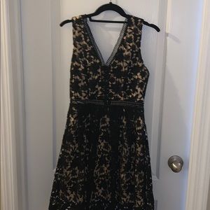 Francescas Lace Dress